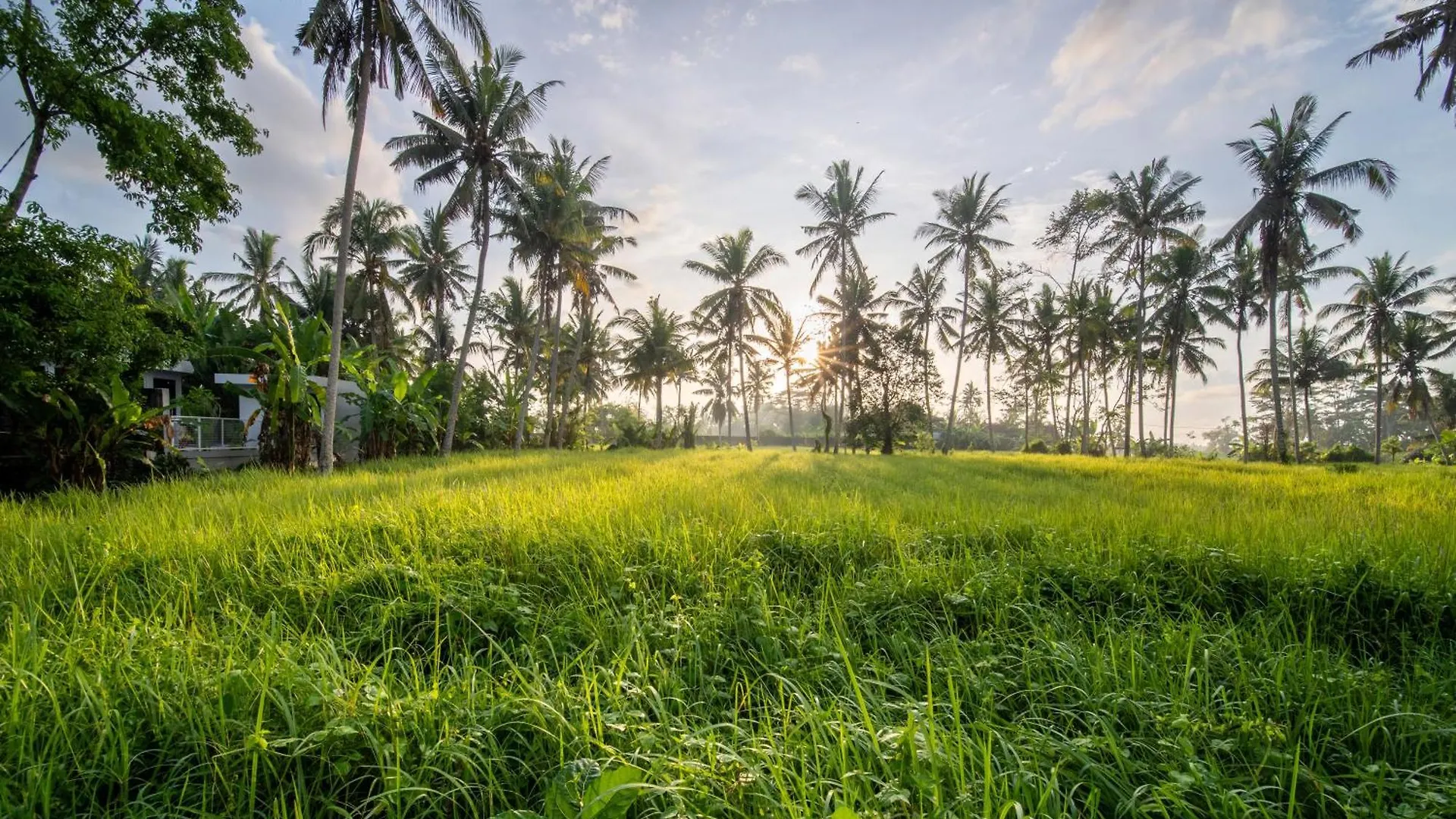 Villa Casa Coco - Nature, Luxe, Calm Ubud